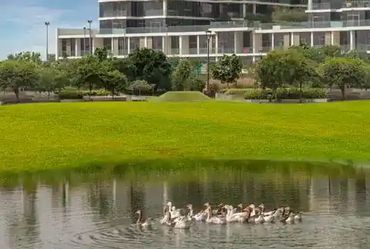 Loreto at Damac Hills Jasmine by Damac Properties
