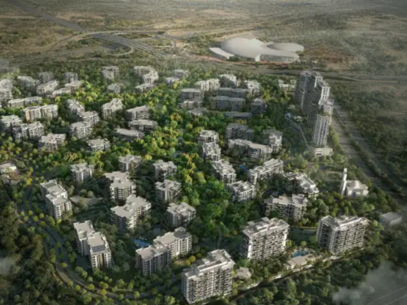 Feature-Lacina-at-Ghaf-Woods-by-Majid-Al-Futtaim
