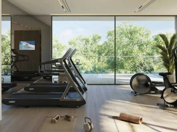 The-Wilds-Moringa-Mansions-by-Aldar-at-Dubailand-8